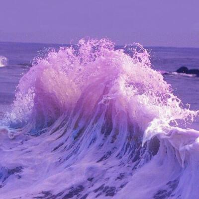 金会年彩票网止